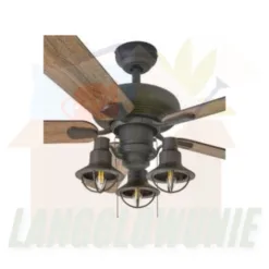 Ceiling Fan with Light Kit in Colorado